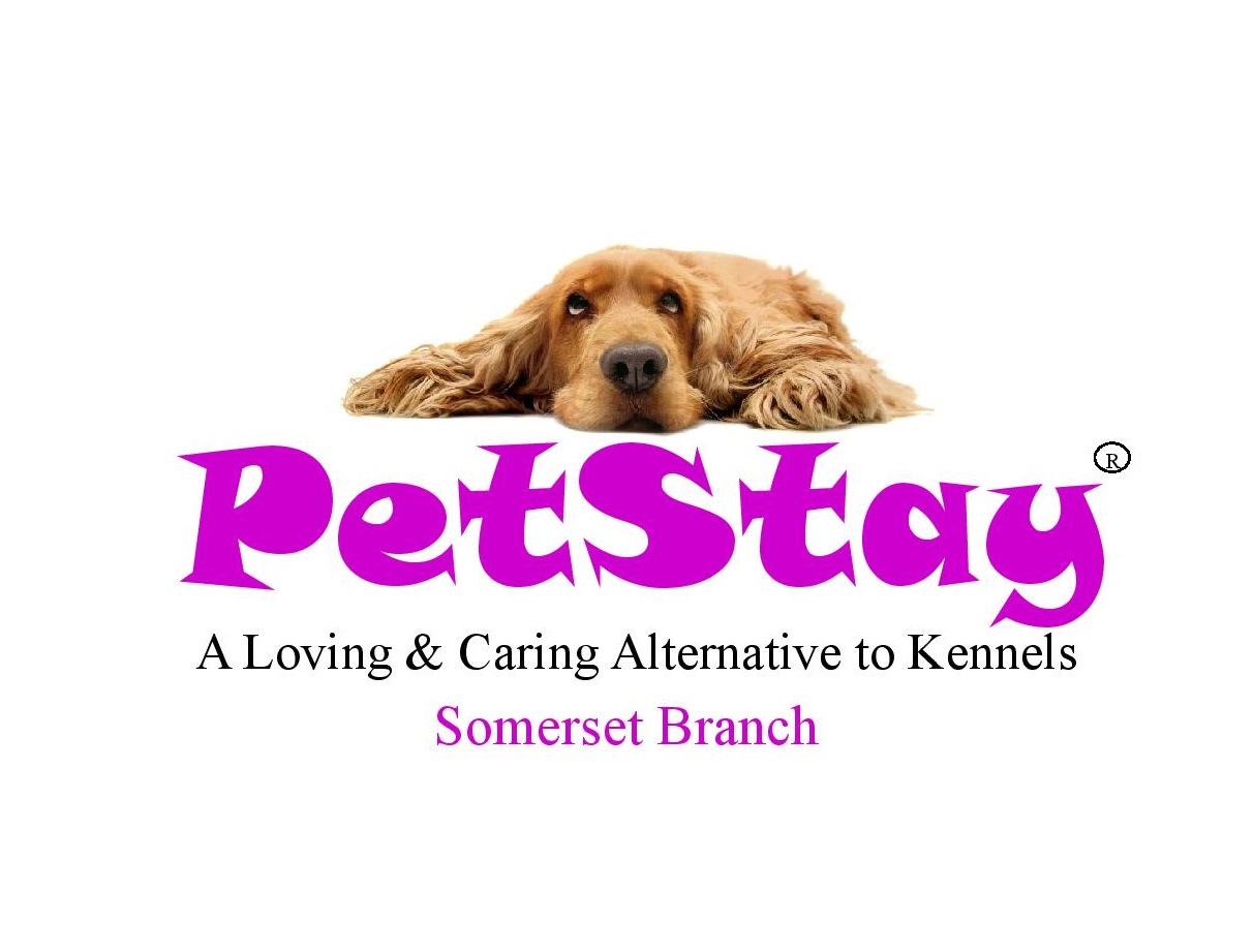 PetStay Somerset